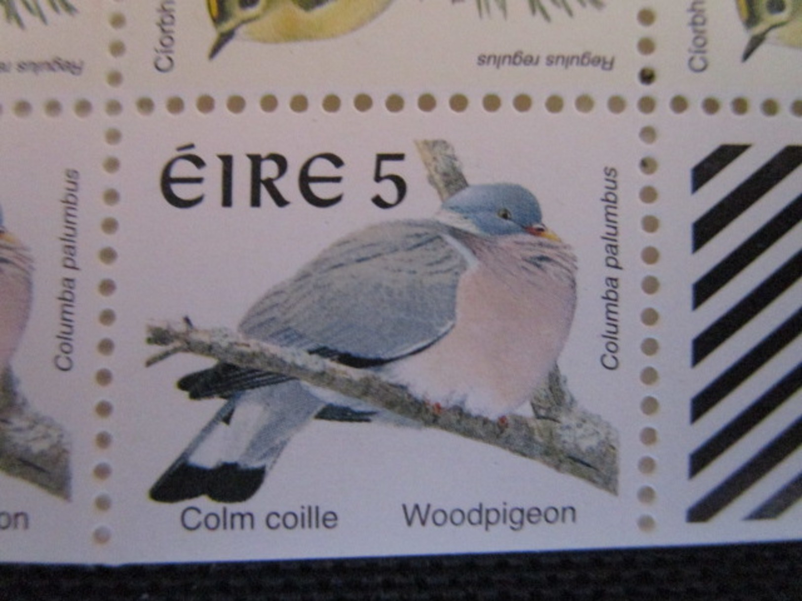 Irlande. 1999. Carnet Yvert N° C1136 **. Faune. Oiseau. Roitelet Huppé. Regulus Regulus. Pigeon Ramier.Columba Palumbus. - Libretti