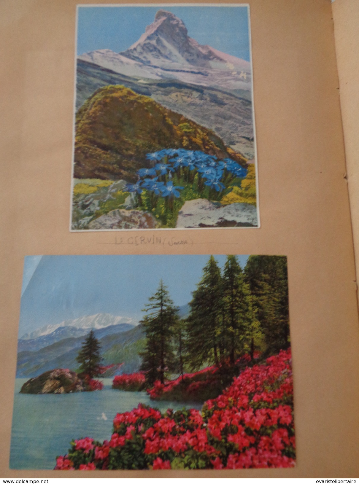 Album /cartes postales,photos de la Haute SAVOIE ,ALPES MARITIMES ,179 cartes et photos