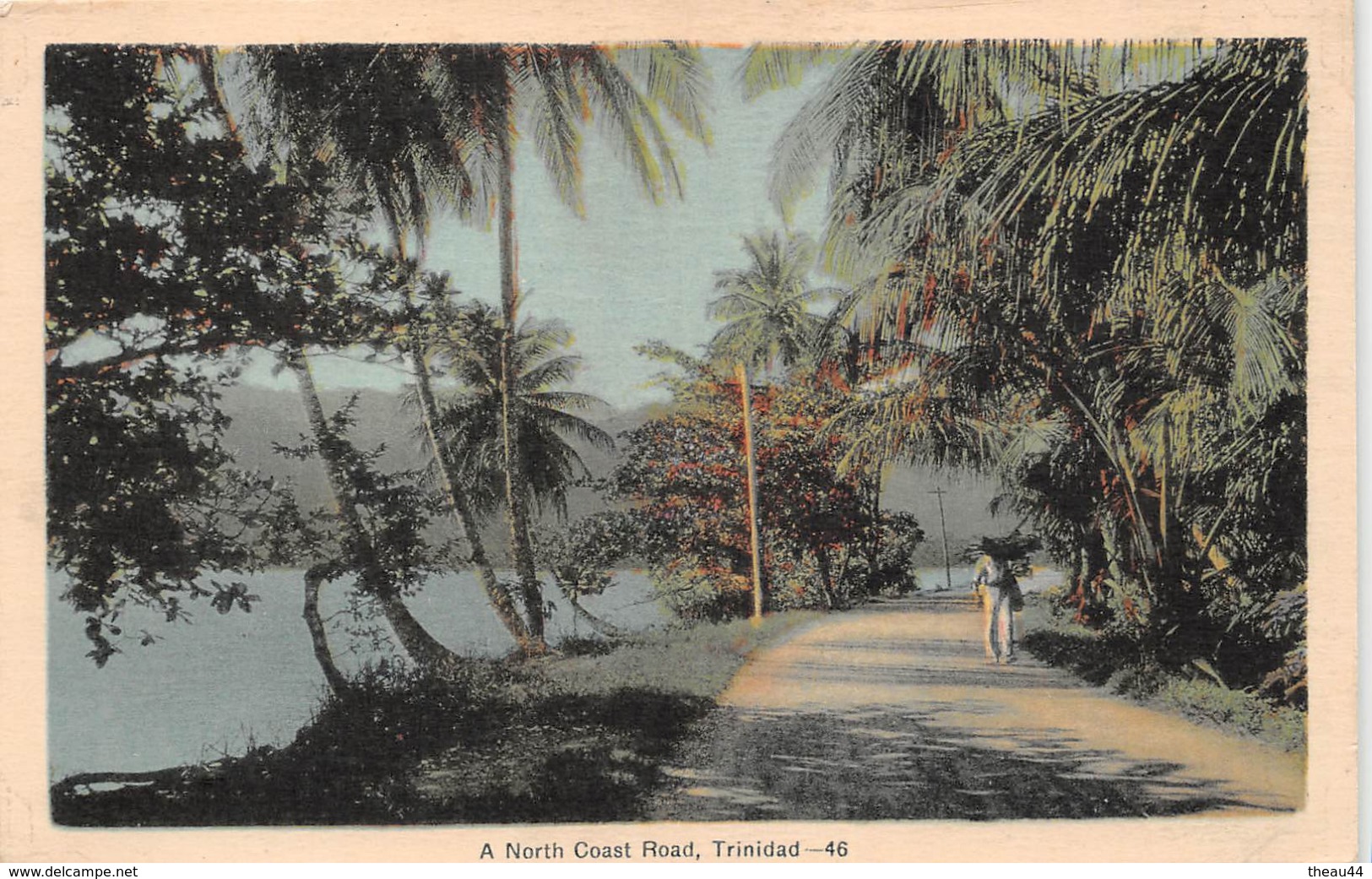 ¤¤   -  TRINIDAD   -  A Nord Coast Road   -  ¤¤ - Trinidad