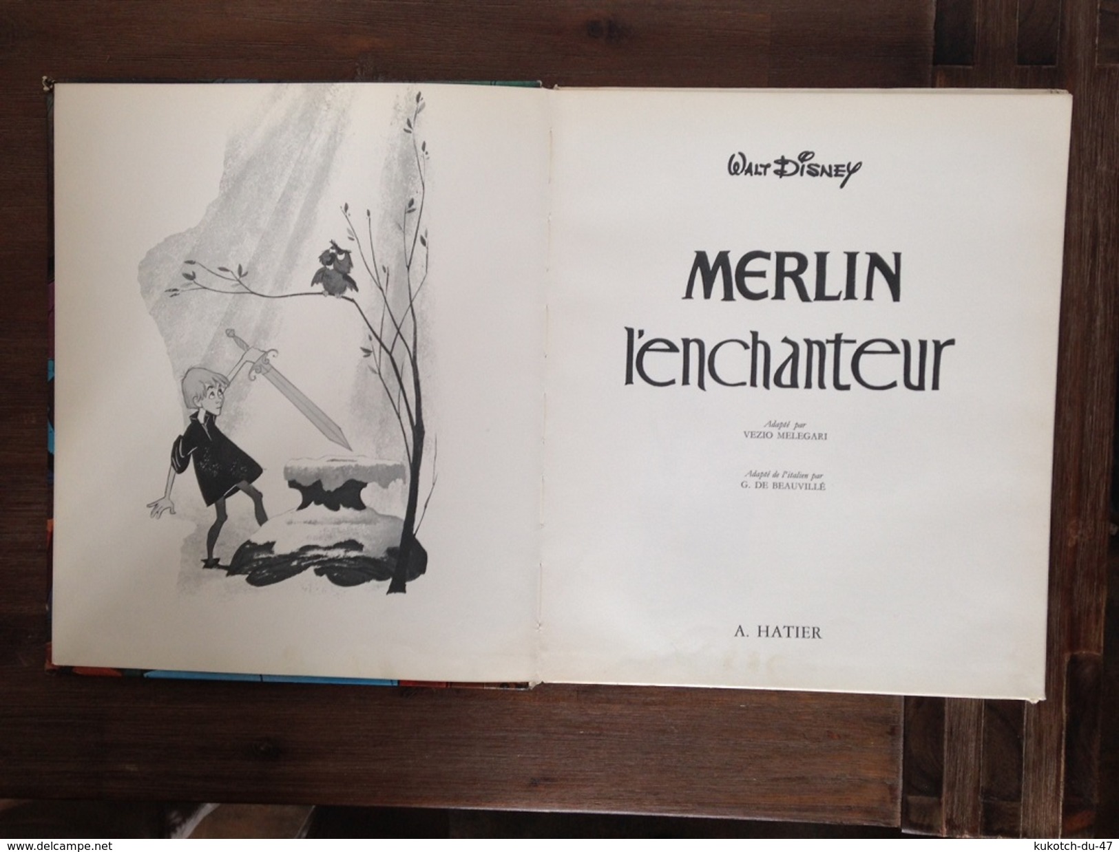 Disney Merlin L'enchanteur (1965) - Disney