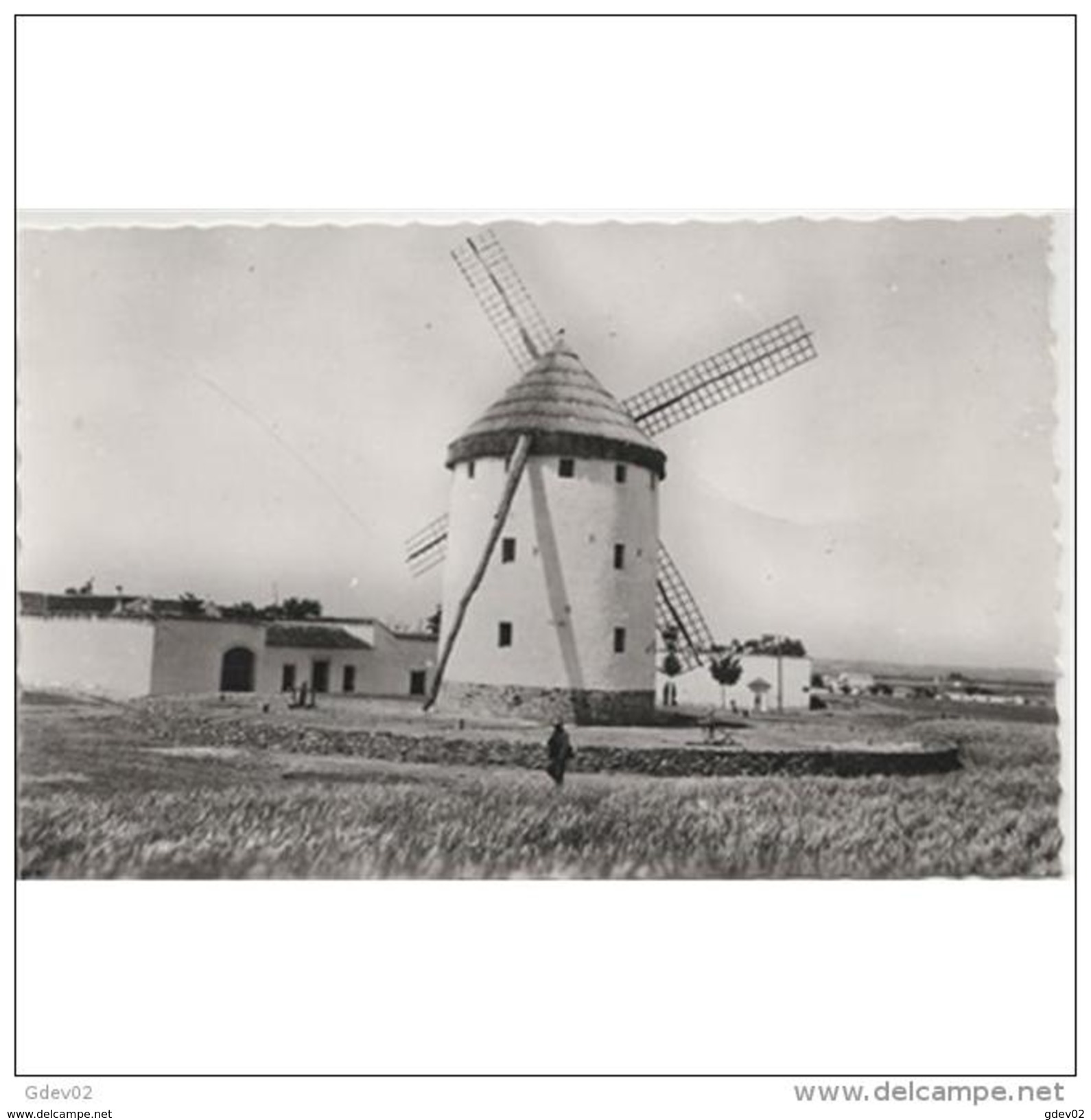 CDRLTP5397-LFTMD3896TARMDV.Tarjeta Postal DE CIUDAD REAL.Casas.MOLINO MUSEO GREGORIO PRIETO EN VALDEPEÑAS - Windmills