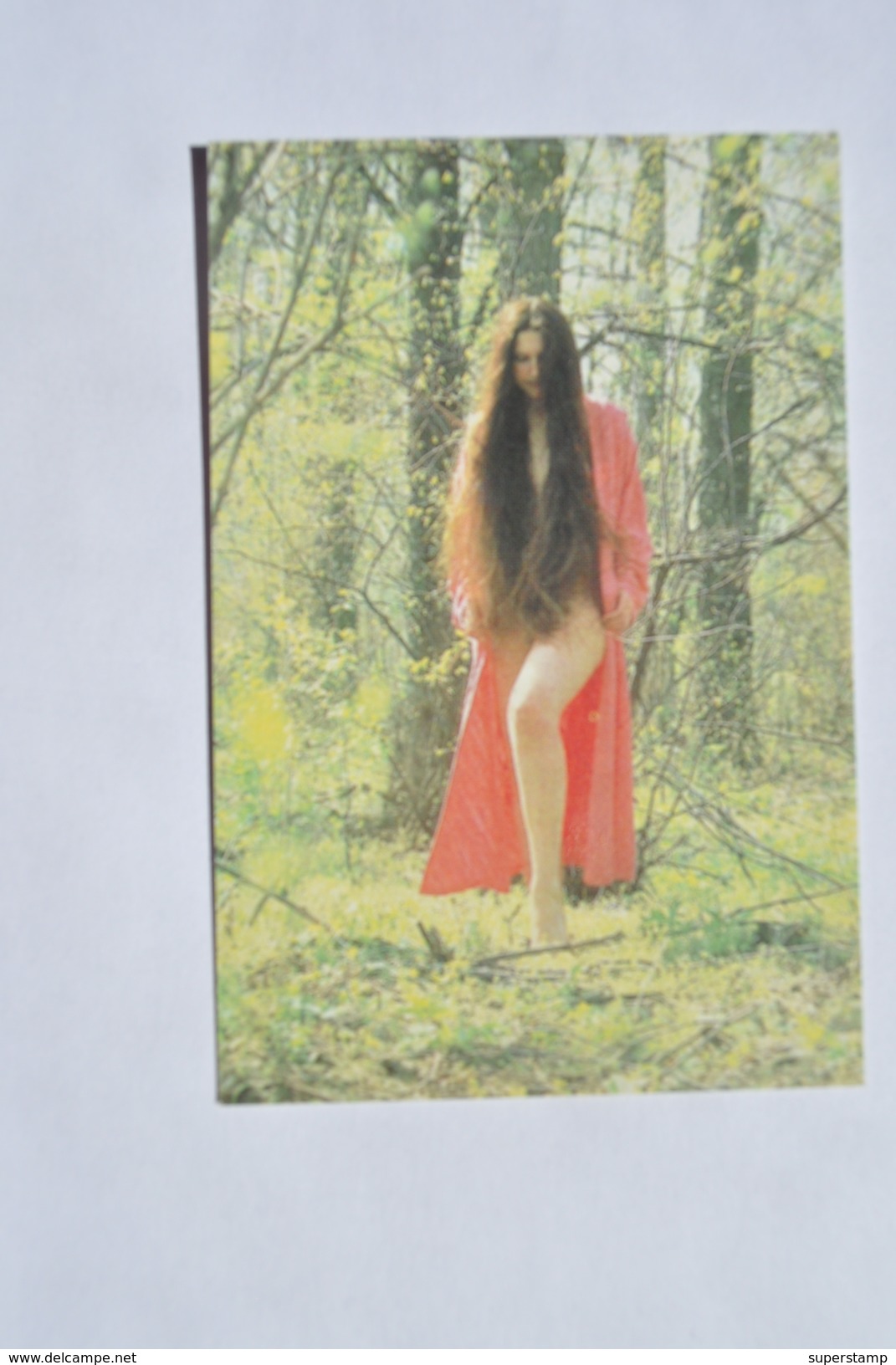 1990 Pocket Calendar USSR. Girl. Nature. Forest. Trees. 179a - Big : 1981-90