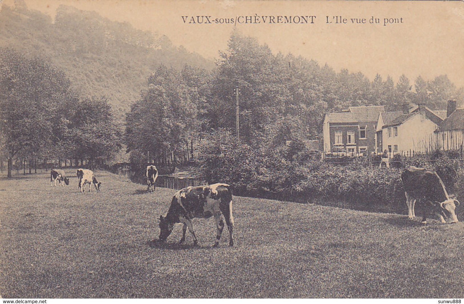 Vaux-sous-Chèvremont - L'Ile Vue Du Pont (animé, Vaches, Edit Ludewyck) - Chaudfontaine