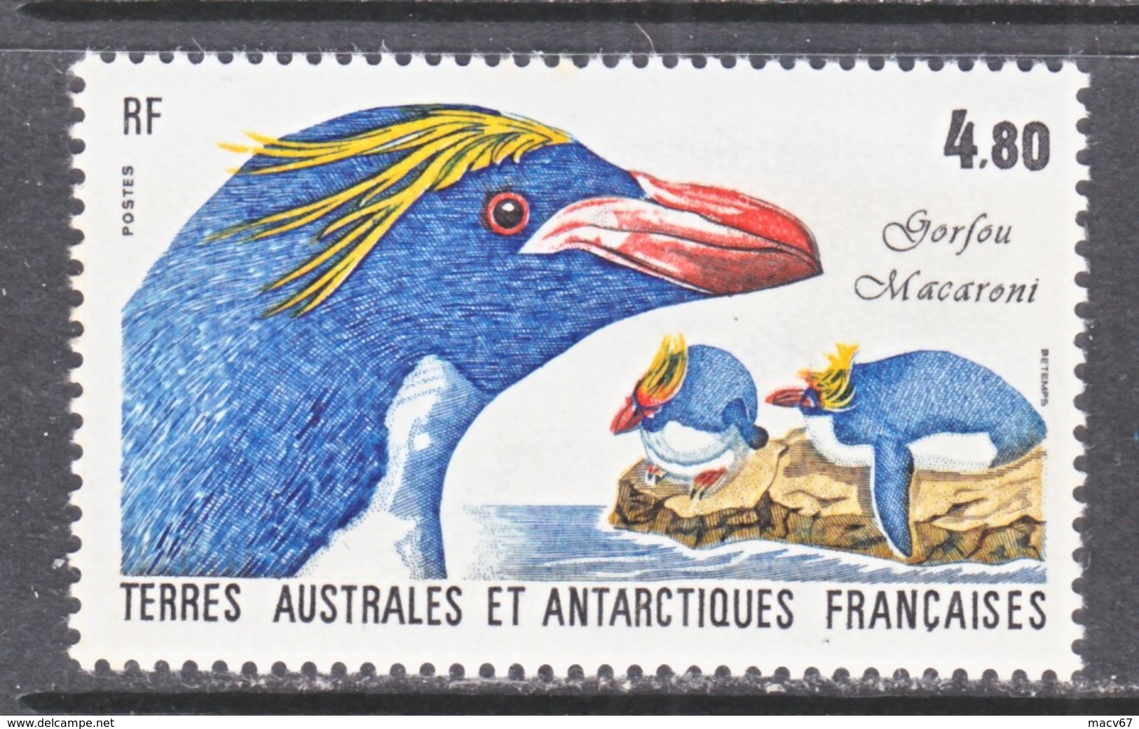 TAAF ( FRENCH  ANTARTIC TERRITORIES )  132   **   MARCONI  PENGUINS - Marine Web-footed Birds