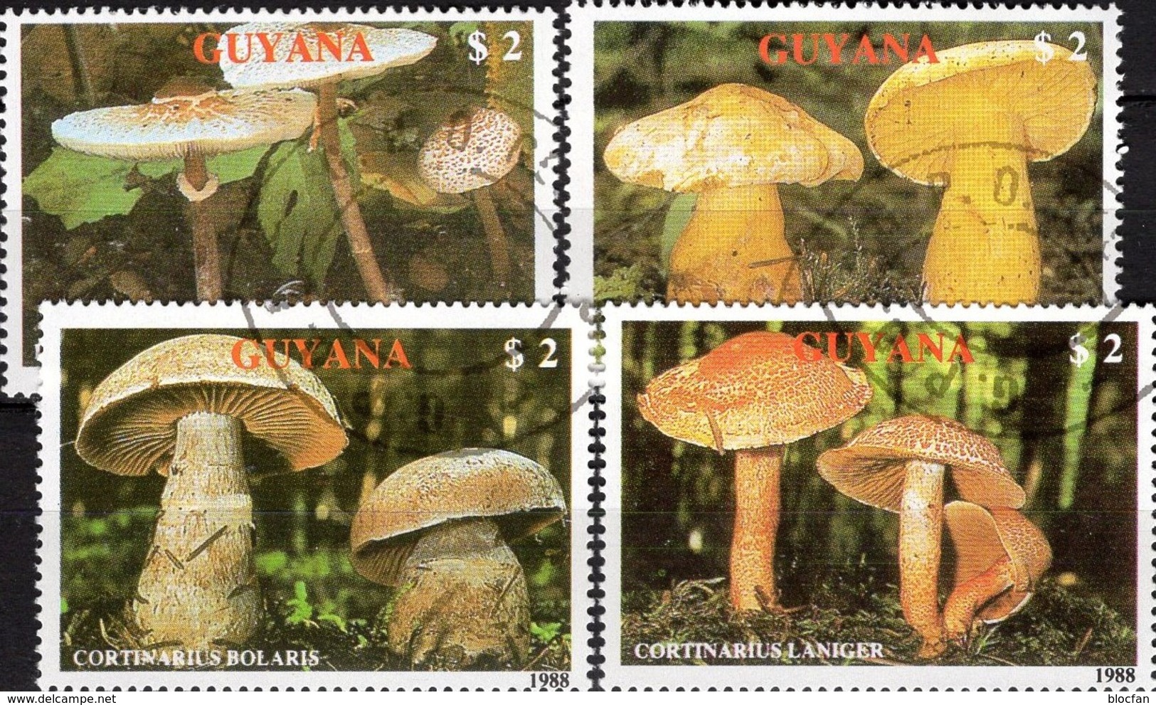 Naturschutz Pilzarten 1989 GUYANA 2480/4 O 12&euro; Pilze Dickfuß Ritterling Schirmling Gürtelfuß Topic Set Bf Mushrooms - Protection De L'environnement & Climat