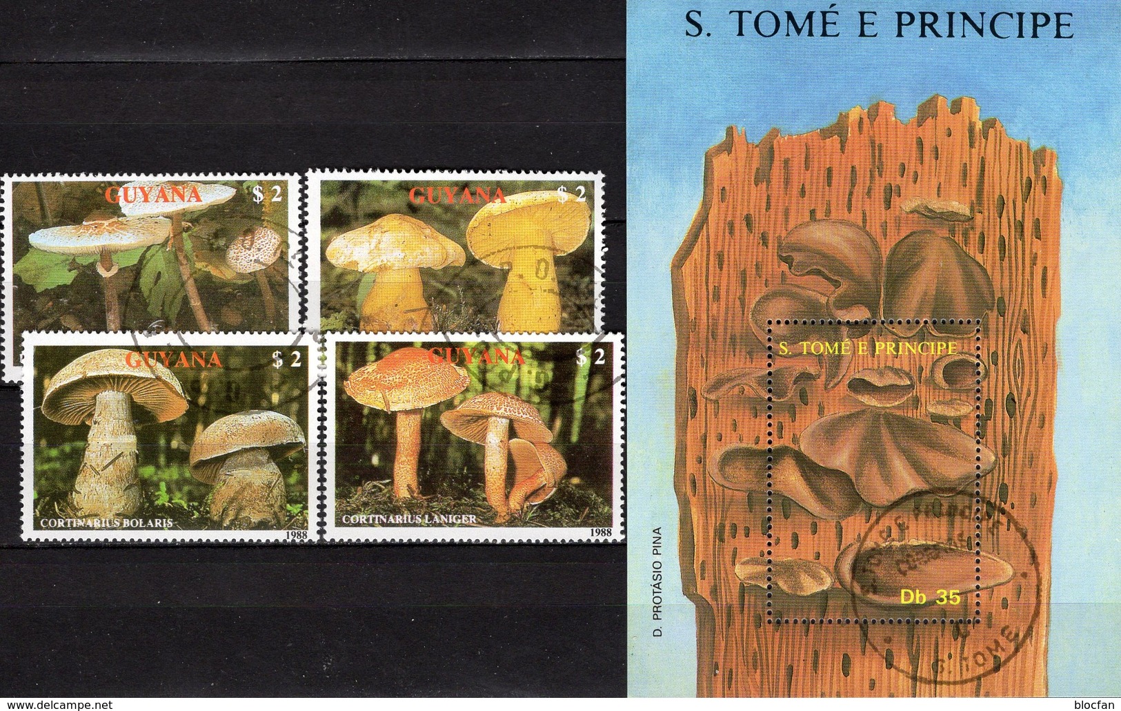 Naturschutz Pilze 1989 GUYANA 2480/4+Sao Tome Block 173 O 19&euro; Ritterling Schirmling Gürtelfuß Ss Sheet Bf Mushrooms - Nature