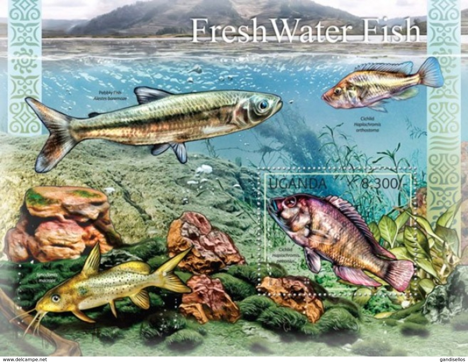 UGANDA 2012 SHEET FRESH WATER FISHES PECES POISSONS MARINE LIFE Ugn12105b - Uganda (1962-...)