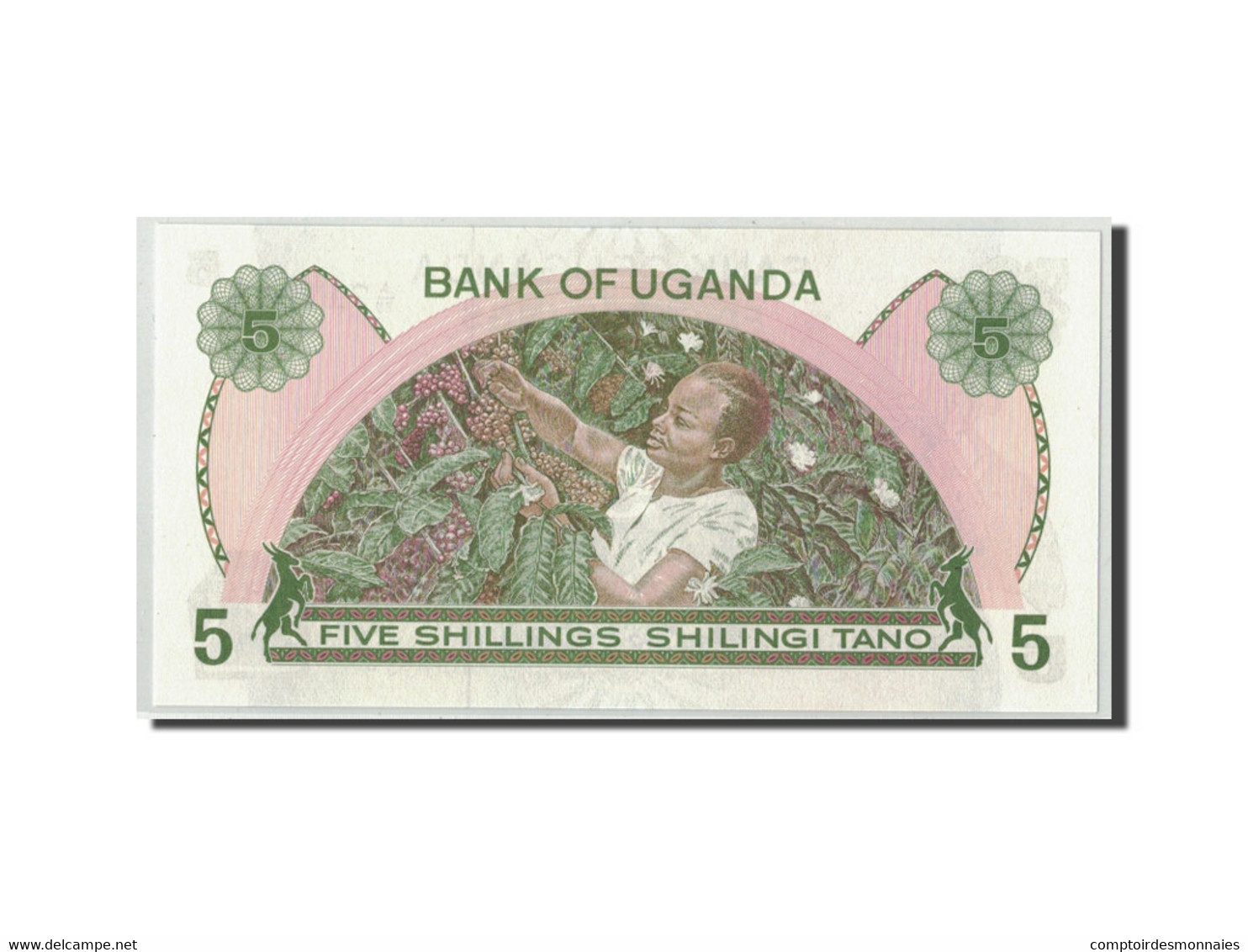 Billet, Uganda, 5 Shillings, Undated (1982), KM:15, NEUF - Ouganda