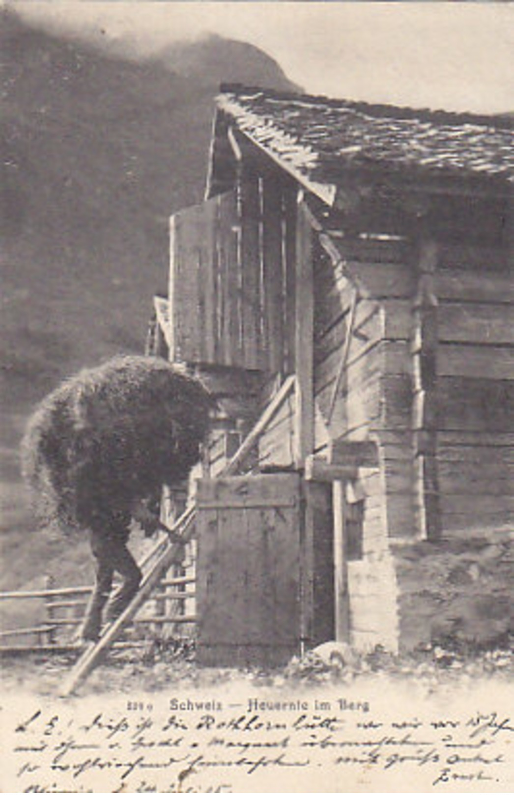 Heuernte Am Berg - Gel. Brünig - 1905       (P38-50221) - Breeding