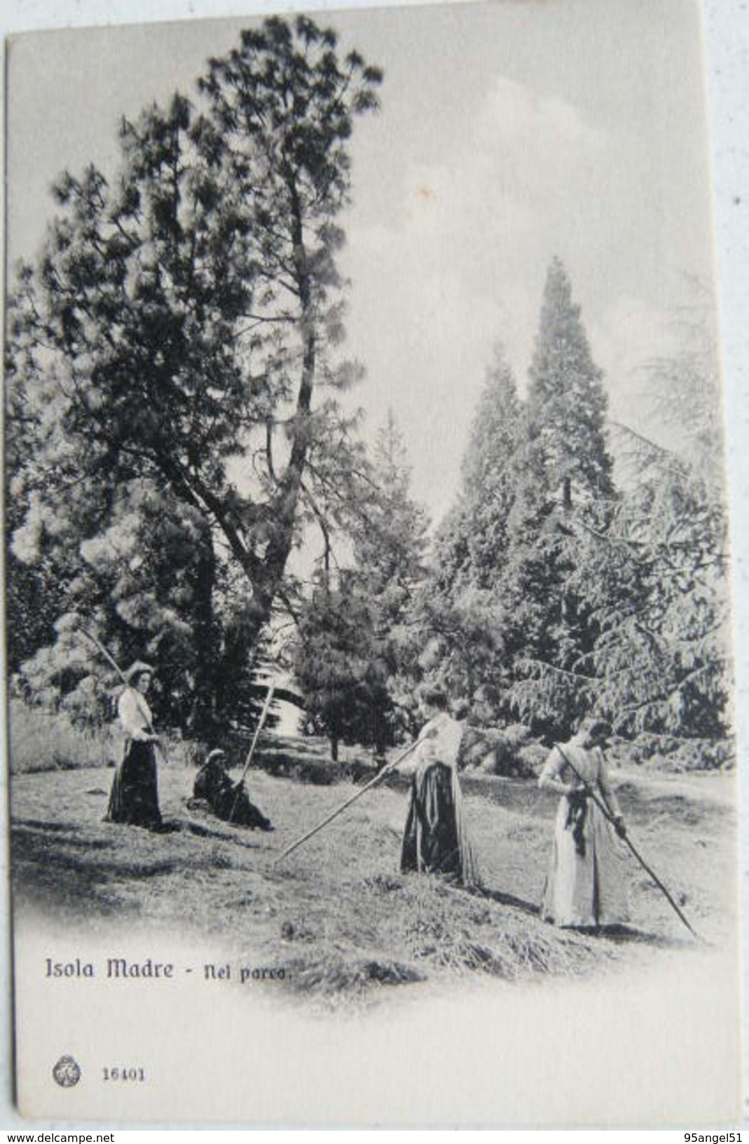 ISOLE BORROMEE LAGO MAGGIORE - ISOLA MADRE NEL PARCO 1900 CARTOLINA DI 117 ANNI!!! - Verbania