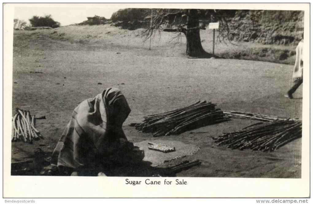 Nigeria, KANO, Native Woman Selling Sugar Cane (1930s) RPPC - Nigeria