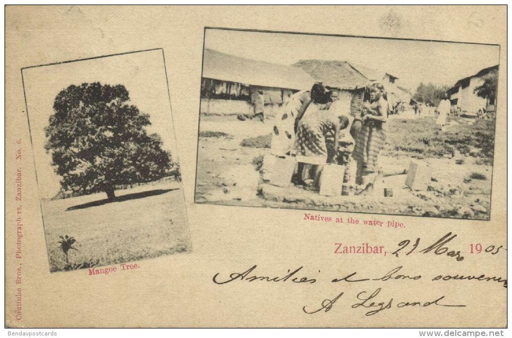 Tanzania, ZANZIBAR, Mangoe Tree, Natives At The Water Pipe (1905) - Tanzania