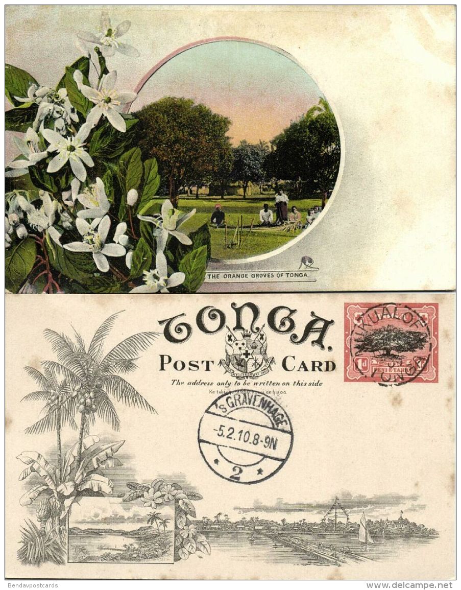 Tonga Islands, The Orange Groves (1909) Pre-Printed Stamp - Tonga