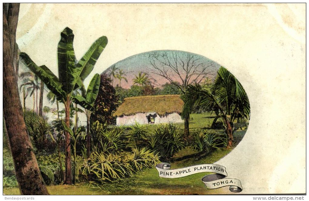 Tonga Islands, Pineapple Plantation (1909) Pre-Printed Stamp - Tonga