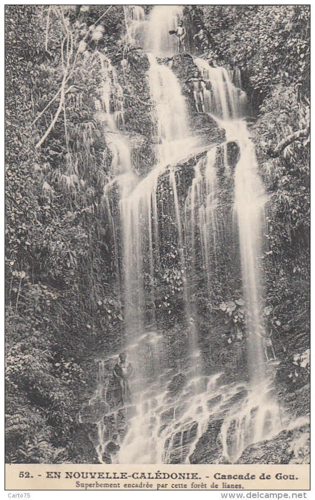 Océanie - Nouvelle-Calédonie - Précurseur - Cascade De Gou  Forêt De Lianes - N° 52 - Nouvelle-Calédonie