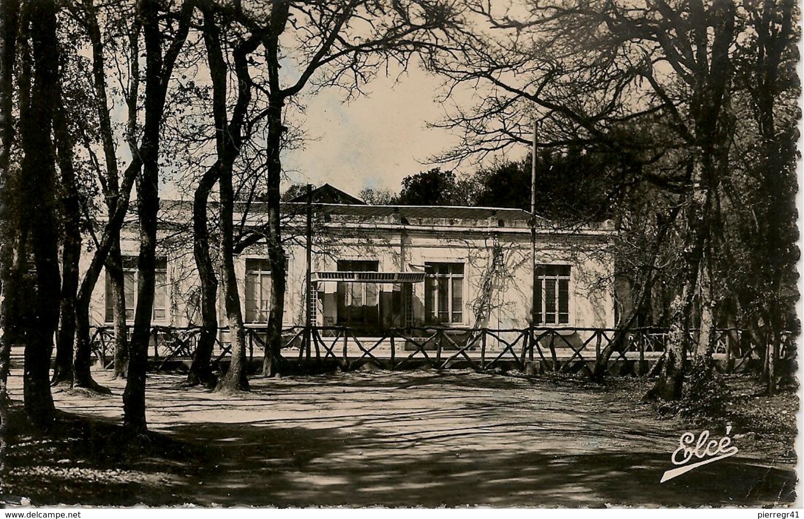 CPA-17-1950-FOURAS LES BAINS-Le CASINO-SOUS BOIS-BE - Fouras-les-Bains