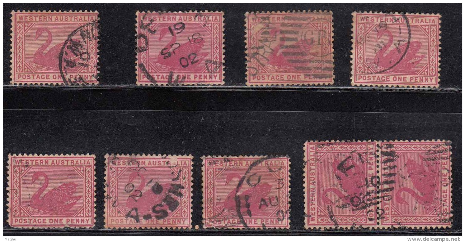 Watermark  (W18 ) Lot, 1d X 9 Qty, Western Austraila Used, Postmark / Perf, Study, 1902 Onward, Swan Bird,  As Scan - Used Stamps