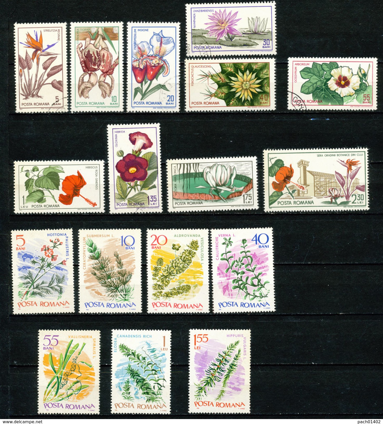 Sammlung  Blumen  Im Gebrauchten Einsteckalben  Mit   25 Sätzen - Collections (with Albums)