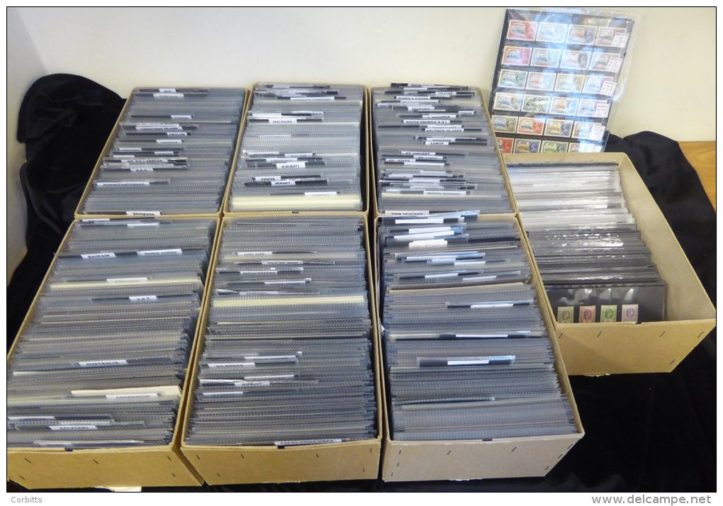 BRITISH COMMONWEALTH Ex-dealer's Stock Housed In Seven Storage Boxes, Neatly Displayed On Three-strip Black Stock Cards - Otros & Sin Clasificación