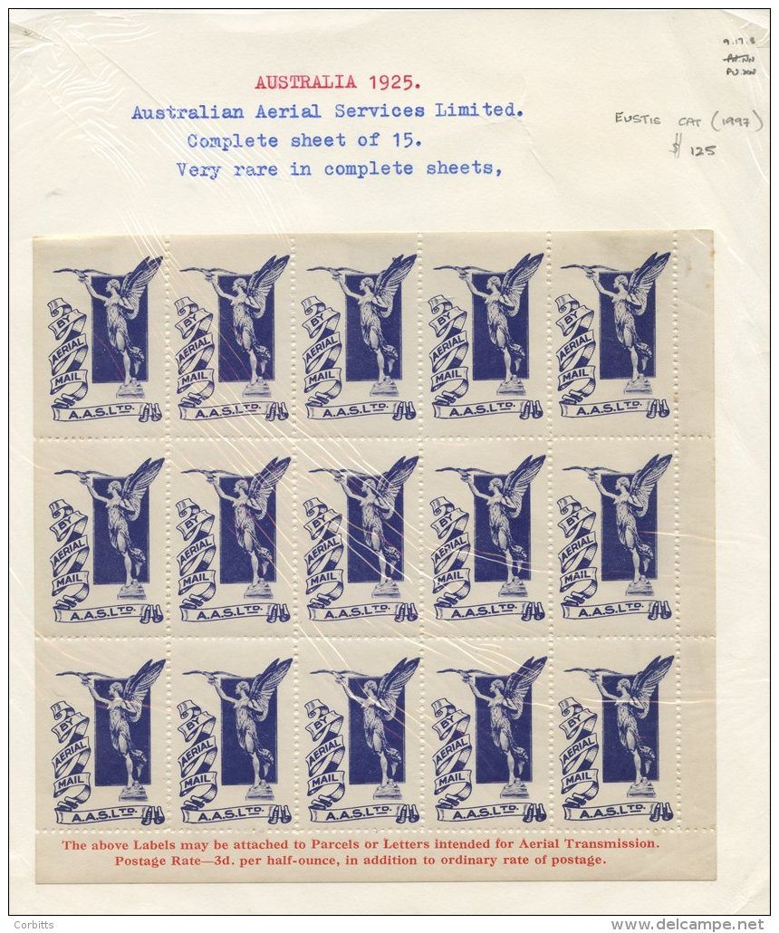 AIR MAIL LABELS (etiquettes) Selection Of Mainly Complete Sheets Incl. Brazil 1927 Sheet Of 20 (2) Of First Brazilian Is - Vignetten (Erinnophilie)