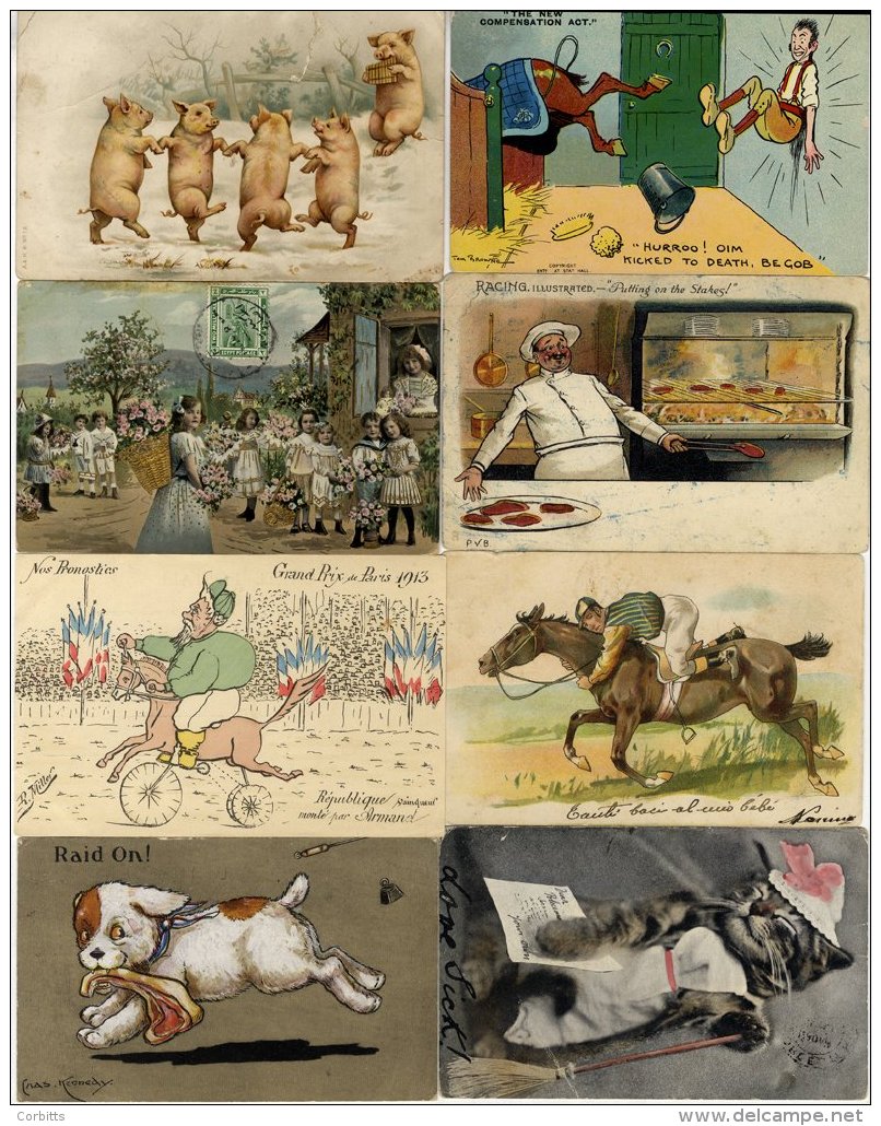 BOX Of Cards Incl. Novelty, Comic, Animals, Horse Racing, Interesting Correspondence Of Romantic Cards (113) From Egypt - Ohne Zuordnung