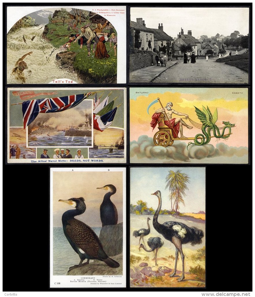 COLLECTION Of Cards In An Old Album Incl. Animals, Bird, Bull Fighting, Comic, Flowers, Historical Railway Engines, Roya - Unclassified