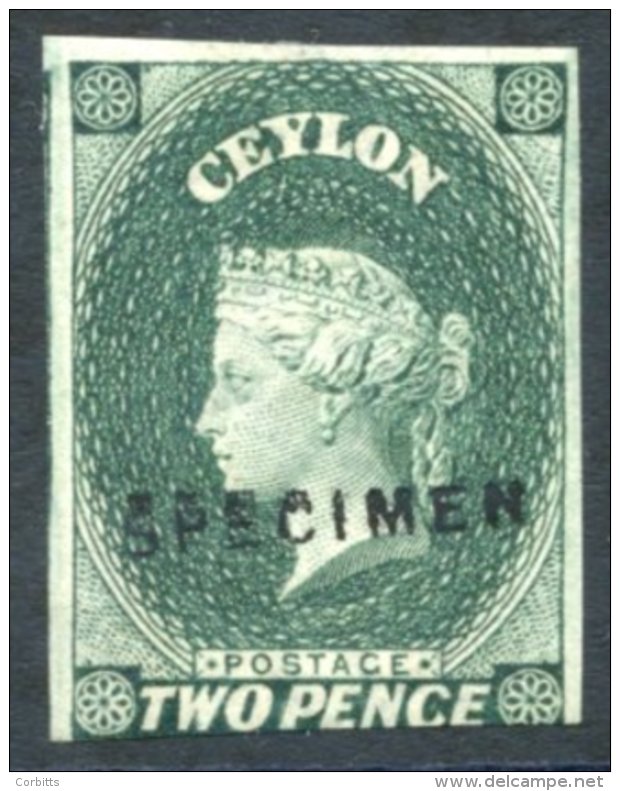 1863-66 2d Grey-green, Imperforate, H/stamped 'SPECIMEN' (Type D5), Unused, Large Margins On Three Sides, Cut Into At Fo - Autres & Non Classés