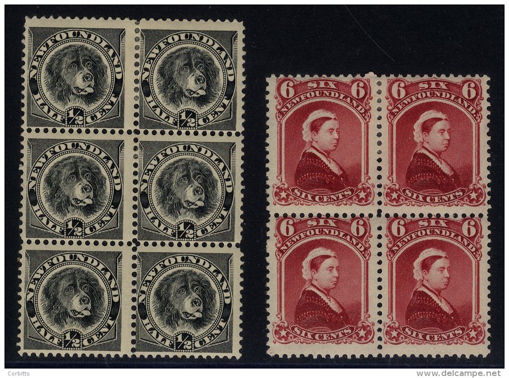 1894 &frac12;c Black, Fresh M Block Of Six, 6c Fresh M Block Of Four, SG.59/60. (10) Cat. &pound;188+ - Sonstige & Ohne Zuordnung