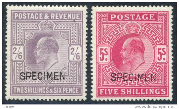 1902 2/6d Lilac, 5s Bright Carmine, Both Optd SPECIMEN Type 16, Fresh &amp; Fine, SG.260s &amp; 263s. (2) Cat. &pound;80 - Other & Unclassified