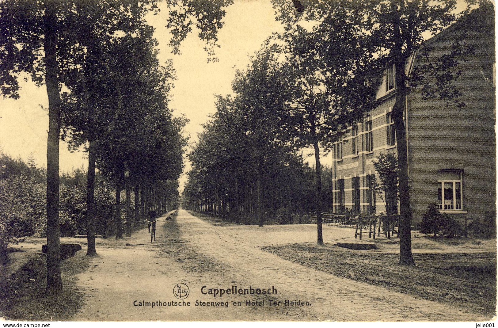 Cappellenbosch Kapellen Calmpthoutsche Steenweg En Hôtel Ter Heiden 1915 Feldpost - Kapellen