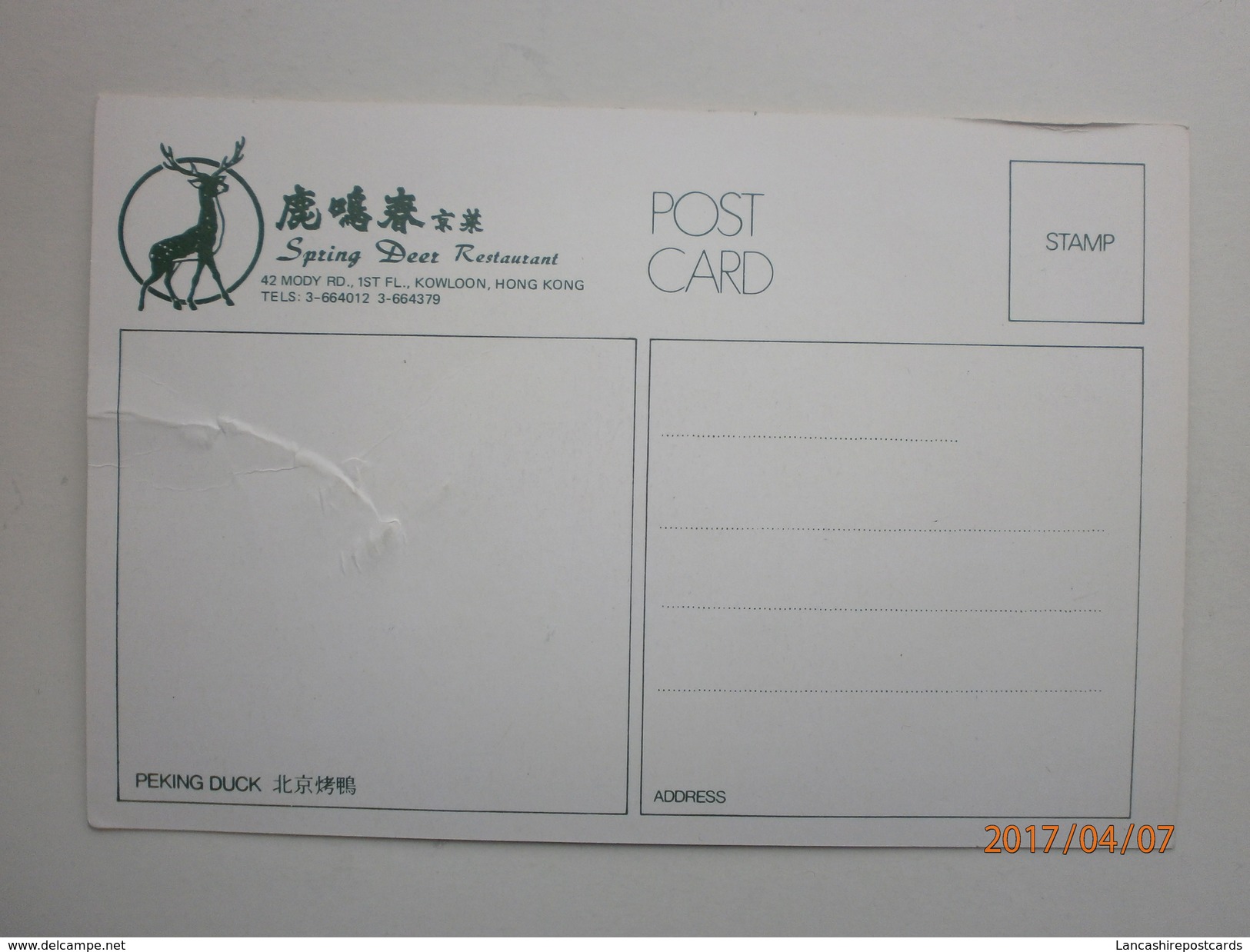 Postcard The Spring Deer Restaurant 42 Mody Road Kowloon Hong Kong China Barbecued Peking Duck  My Ref B2917 - China (Hong Kong)