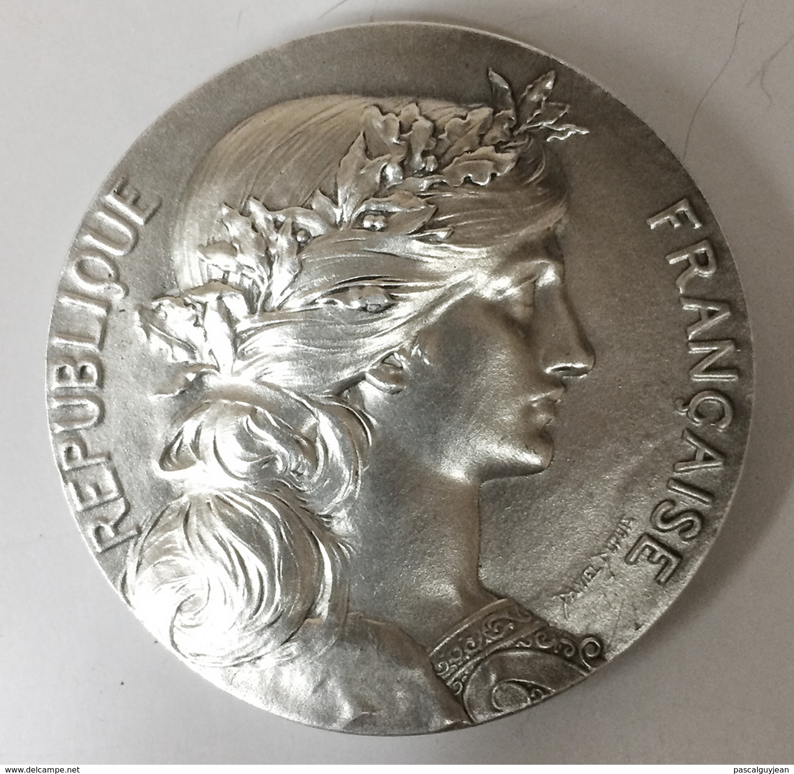 MEDAILLE VILLE DE NOGENT SUR MARNE 2000 PAR DANIEL DUPUIS - Sonstige & Ohne Zuordnung