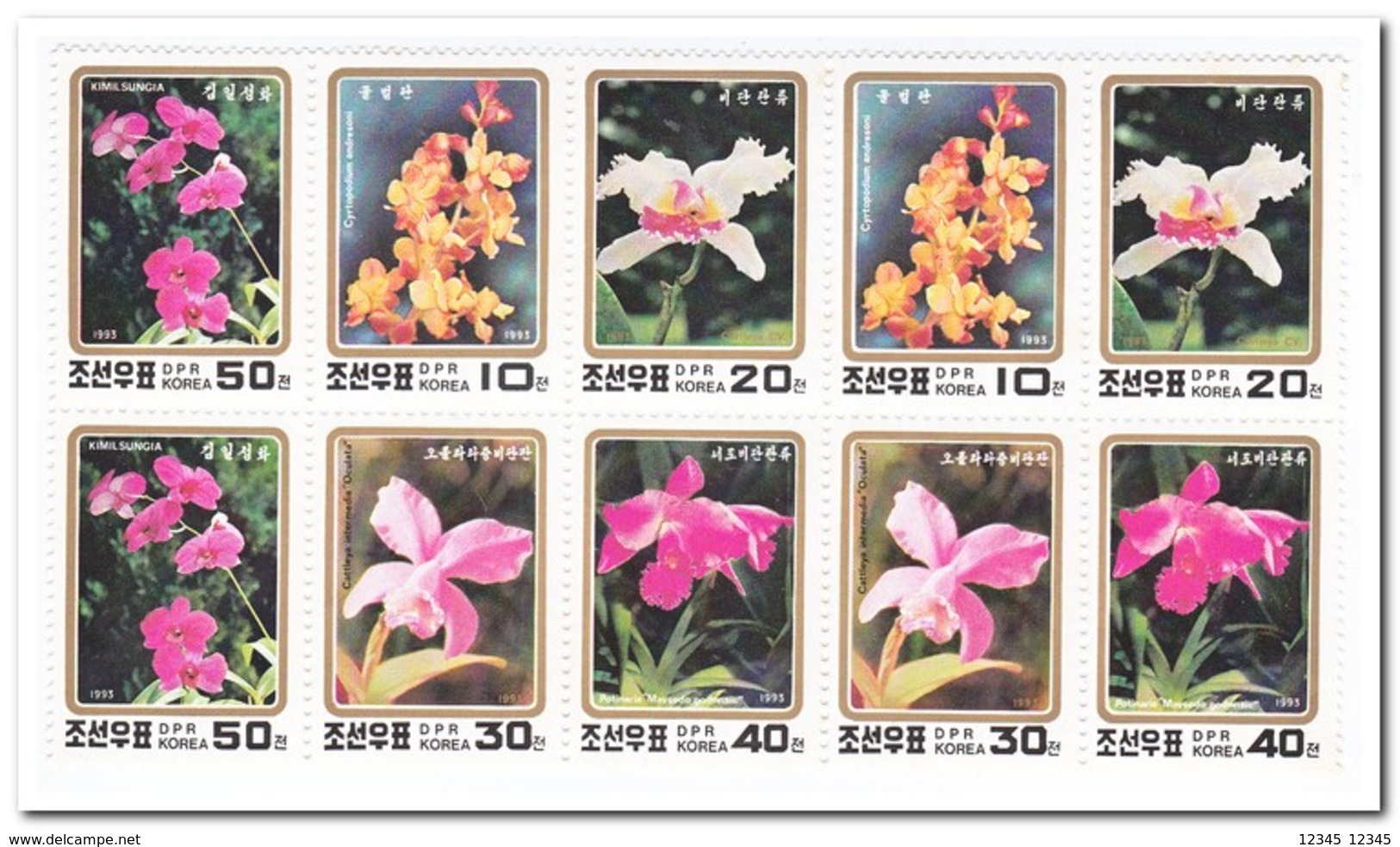 Noord Korea 1993, Postfris MNH, Flowers, Orchids - Korea (Noord)