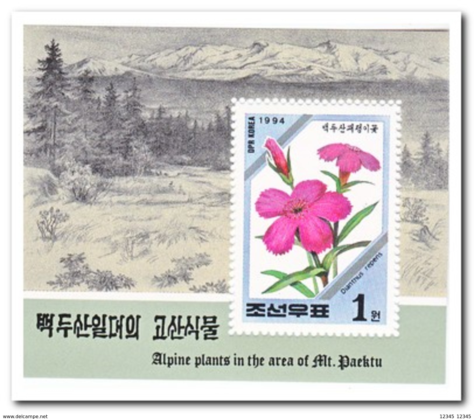 Noord Korea 1994, Postfris MNH, Flowers - Korea, North
