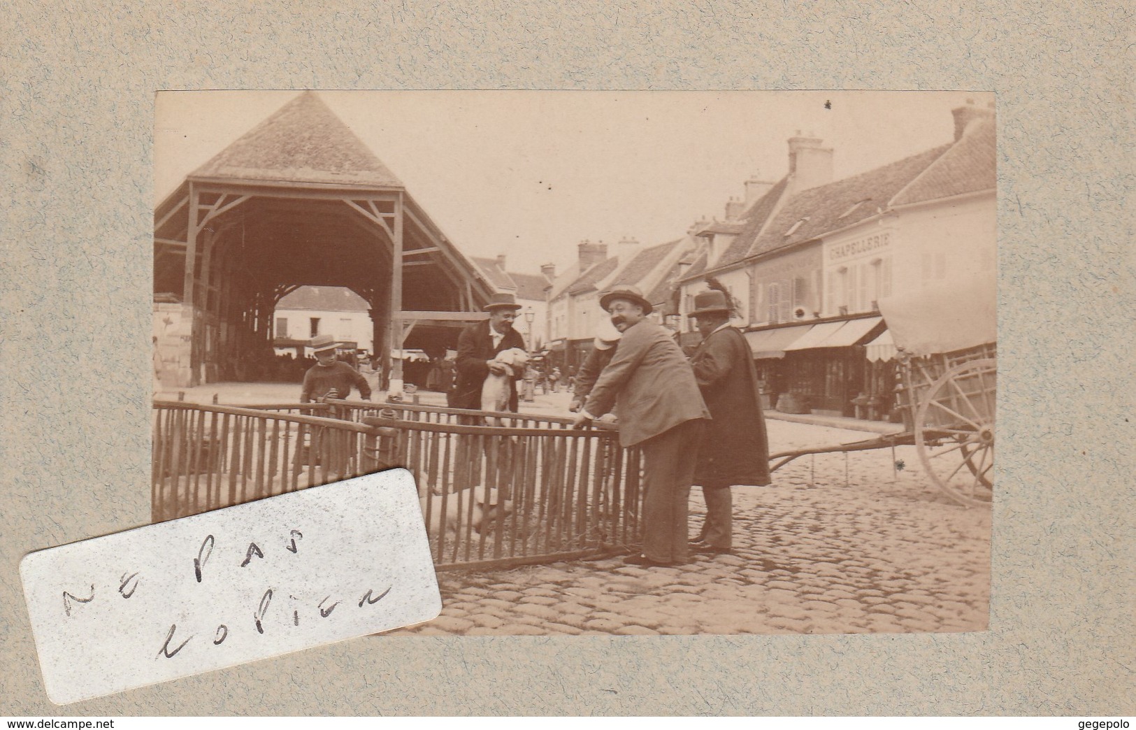 ARPAJON - Place Du Marché  ( Photo 10,3 Cm X 6,6 Cm Sur Support Cartonné Format Cpa 14 Cm X 9 Cm ) - Arpajon