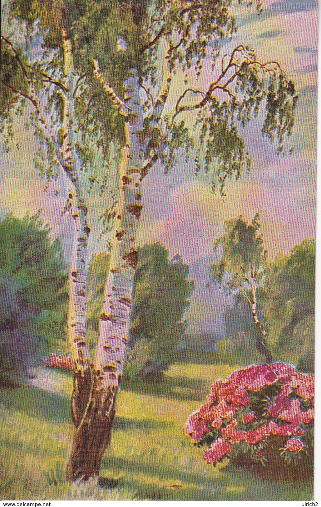 AK Künstlerkarte - Birken - Ca. 1920 (28227) - Bomen