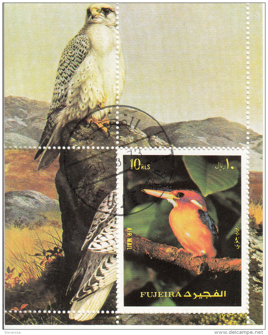 Bf. 138A Fujeira 1972 Birds Uccelli Oiseaux Martin Pescatore Aquila Sheet Perf. - Moineaux