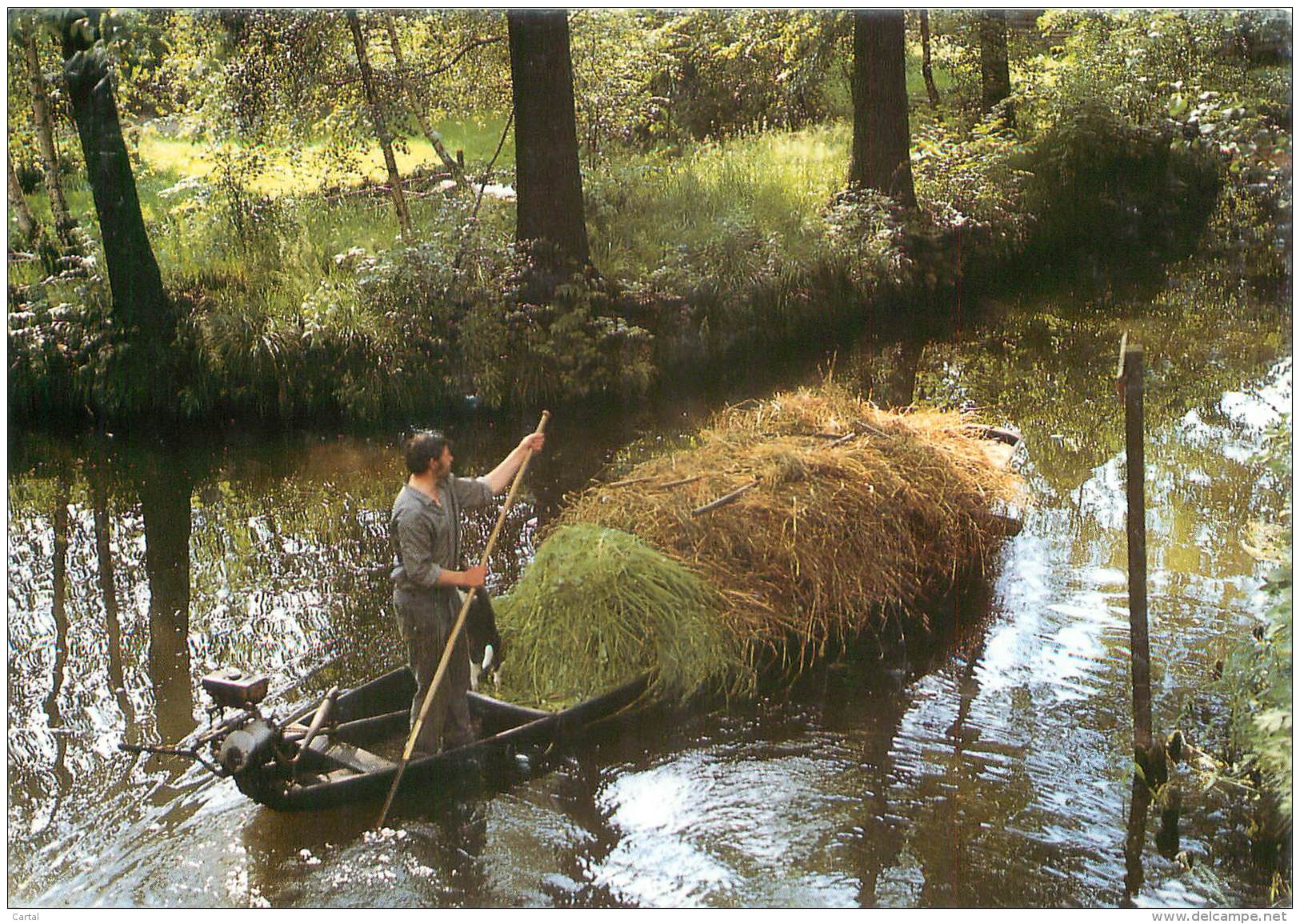 CPM - IM SPREEWALD - Burg (Spreewald)