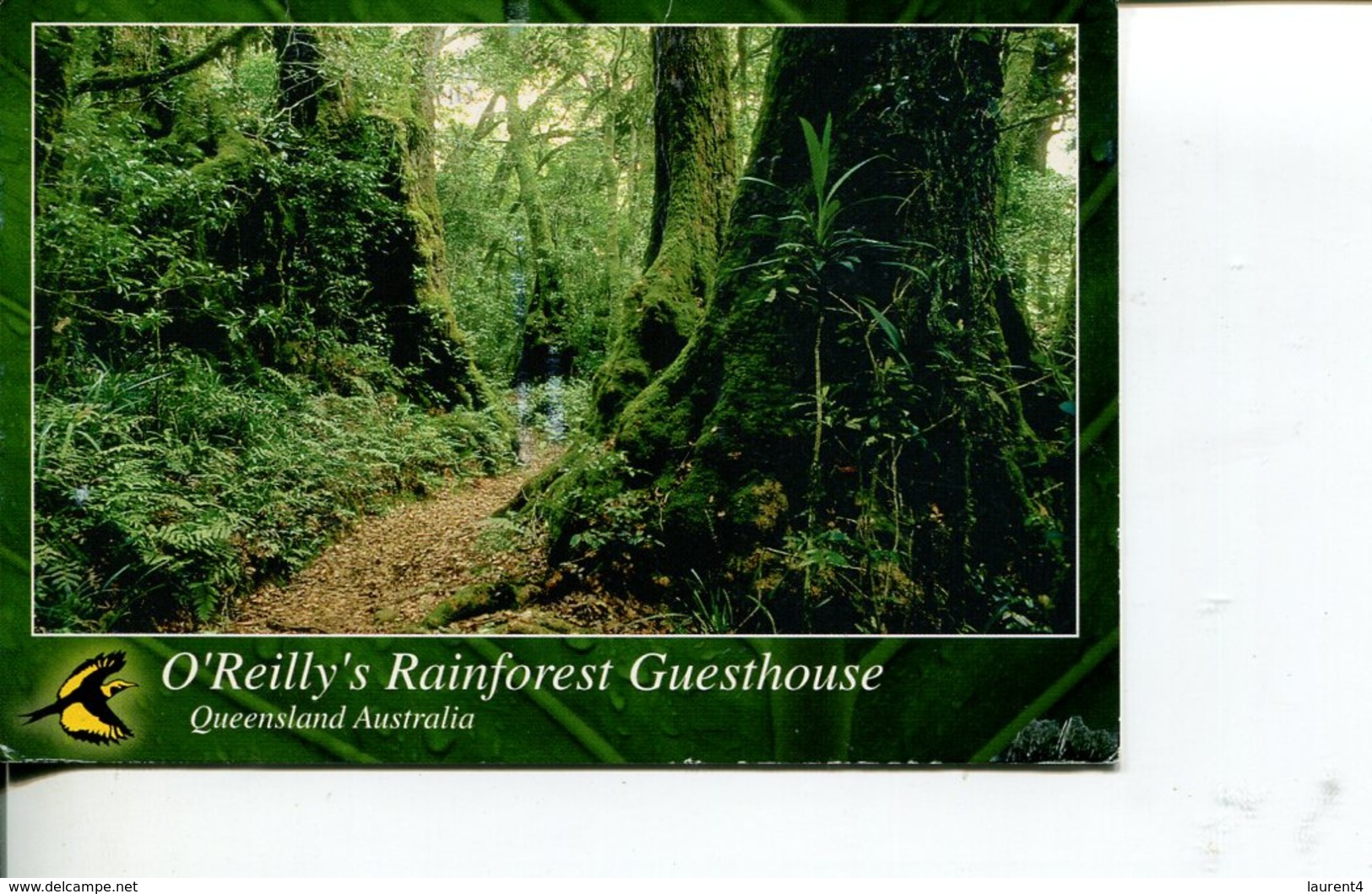 (543) Australia - QLD - Rainforest UNESCO (with Stamp At Back Of Card) - Atherton Tablelands