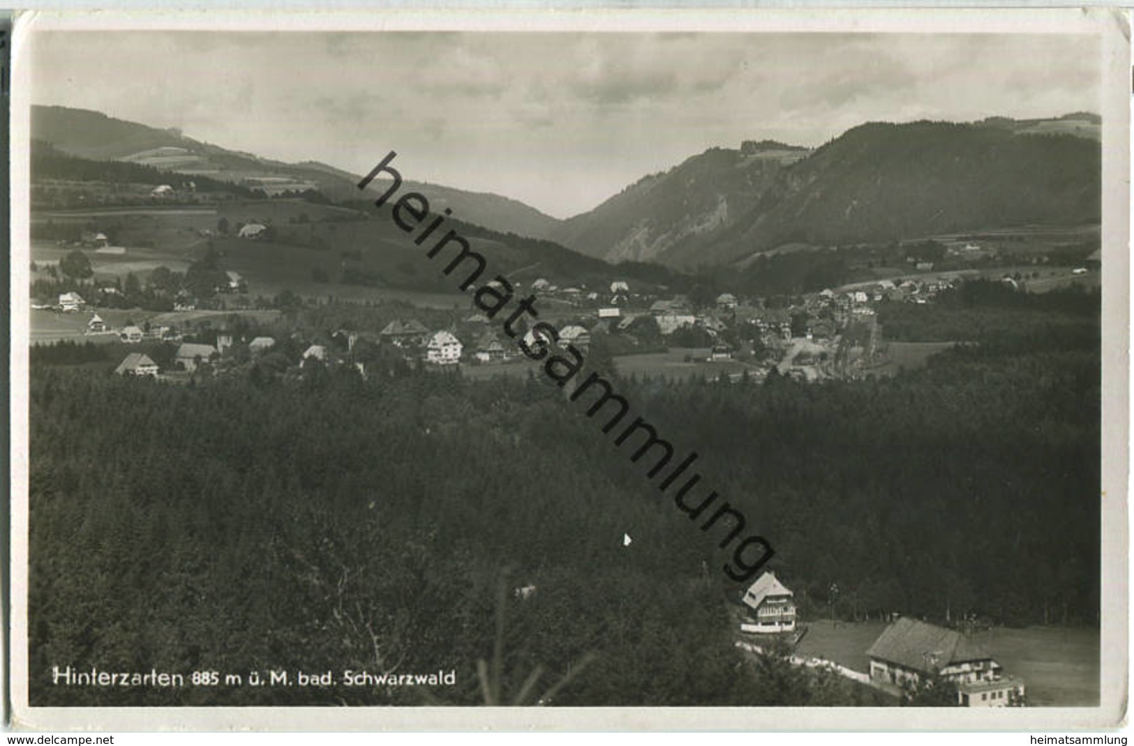 Hinterzarten - Foto-Ansichtskarte - Hinterzarten