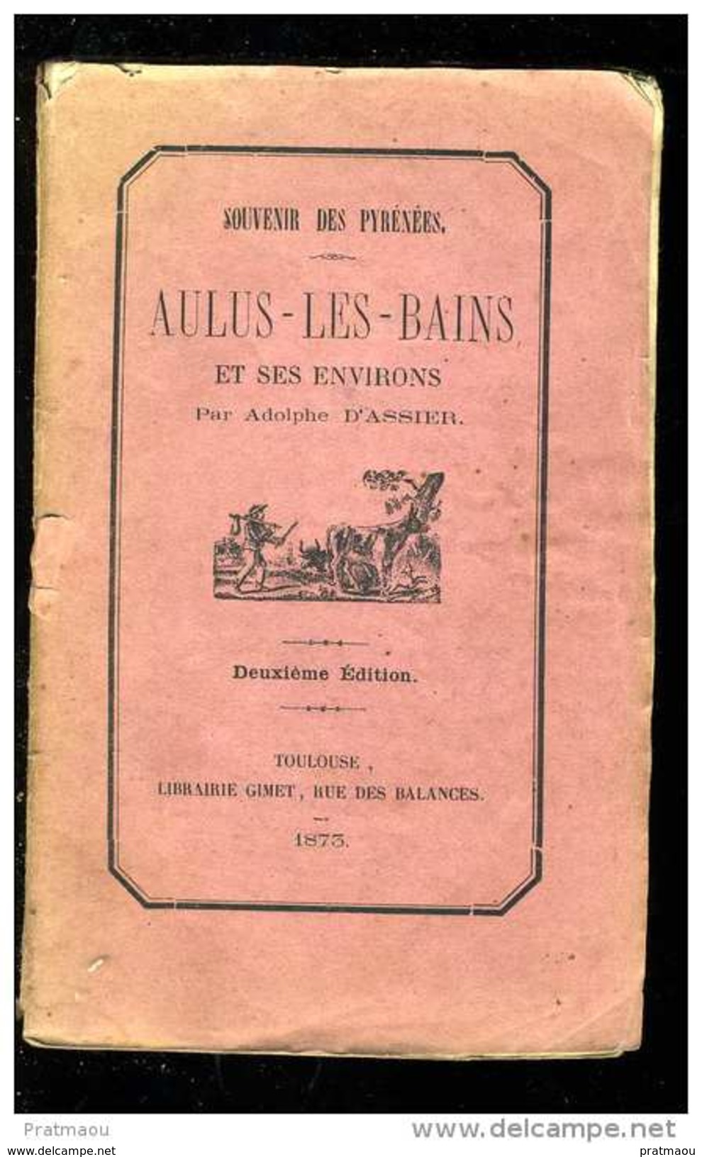 Pyrénées Ariège.Rare (RR Dentaletche). Aulus Les Bains Et Ses Environs Par Adolphe D´ASSIER. Deuxième édition 1873. - Midi-Pyrénées