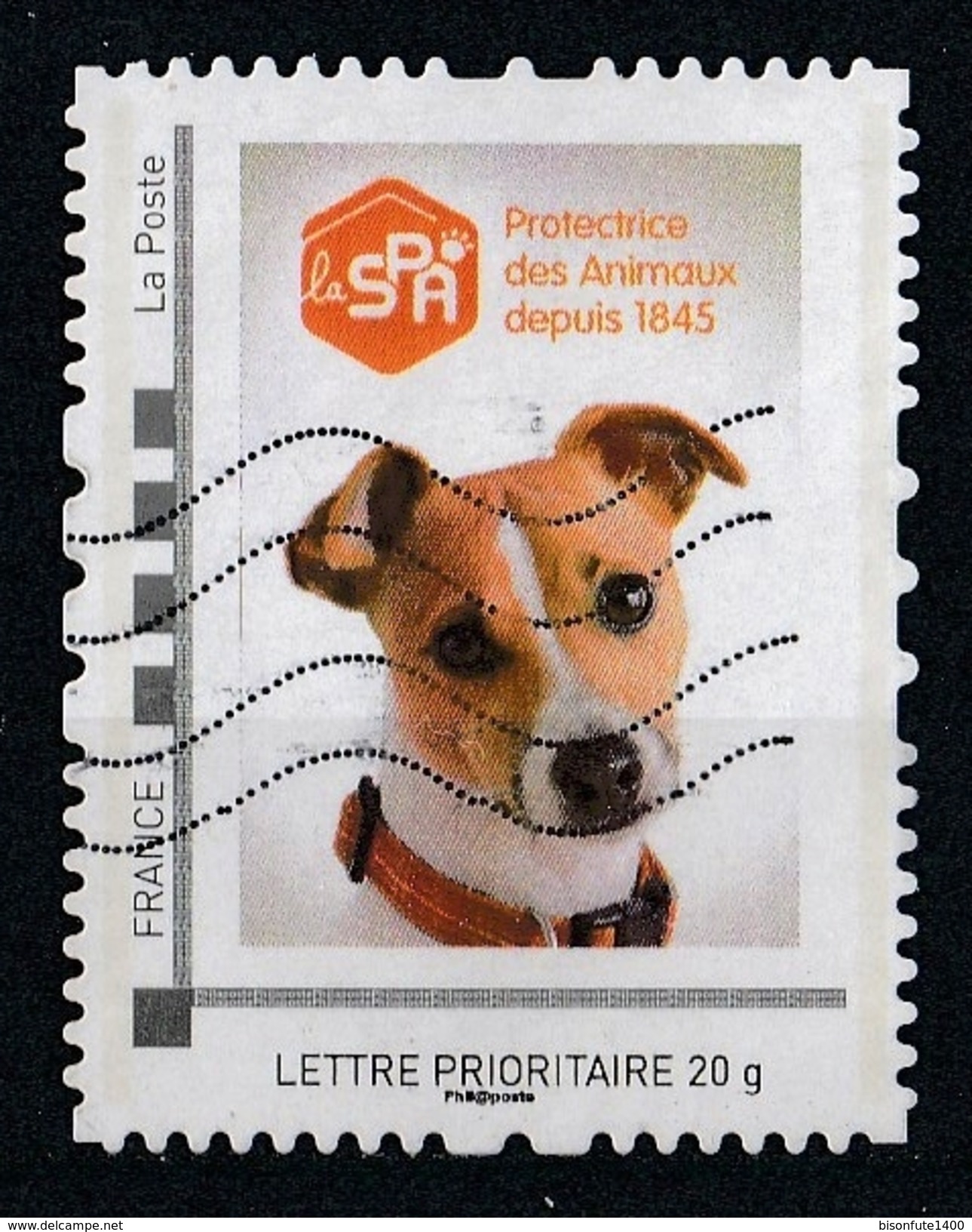 Collector S.P.A. Chiens Et Chats 2015 - Collectors