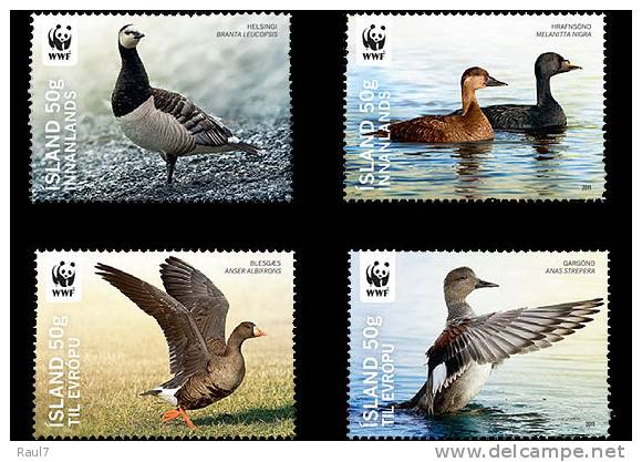 ISLANDE 2011- Faune Oiseaux , Canards - 4v Neuf*** (MNH SET) - Unused Stamps