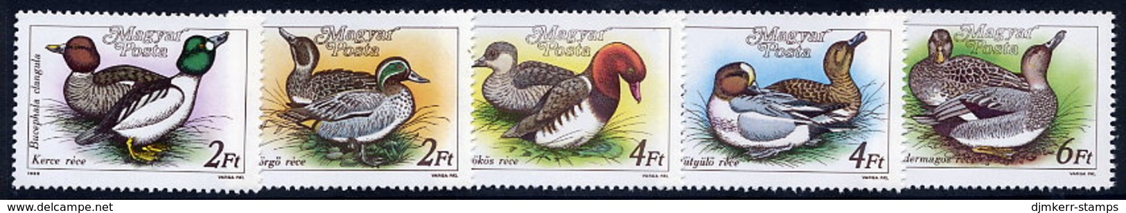 HUNGARY 1988 Wild Ducks MNH / **.  Michel 3972-76 - Neufs