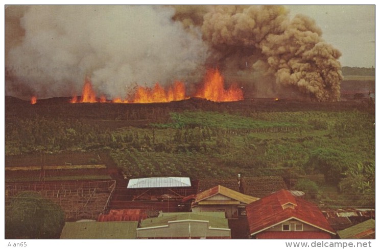 Kapoho Hawai'i Lava Approaches Town 1960 Eruption, C1960s Vintage Postcard - Big Island Of Hawaii