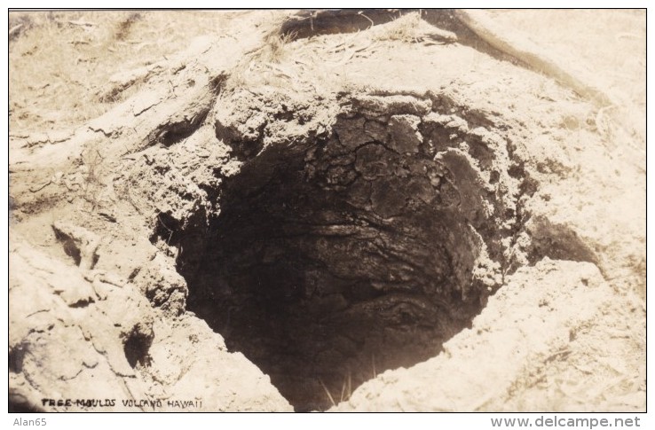 Hawai'i, Tree Molds From Volcano Lava, C1910s Vintage Real Photo Postcard - Autres & Non Classés