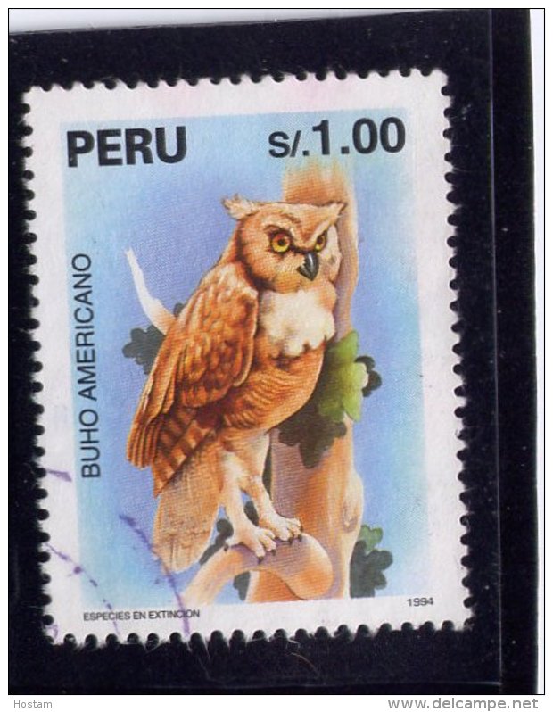 PERU, 1995,  USED #1109,   FAUNA: AMERICAN OWL   USED - Pérou