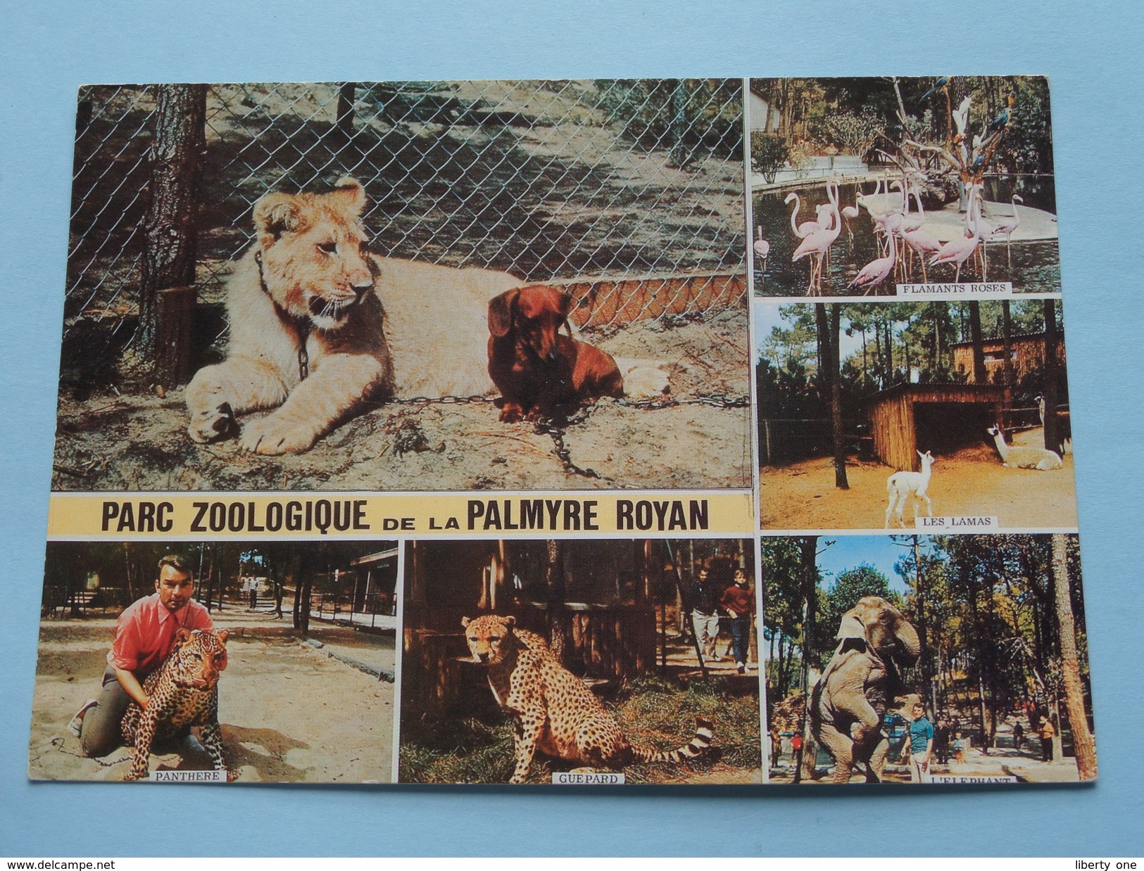 Parc ZOOLOGIQUE De La PALMYRE ROYAN (Artaud) Anno 19?? ( Zie Foto's ) ! - Royan