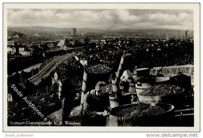 Wein Stuttgart (7000) Weinlese Foto AK I-II Vigne - Ohne Zuordnung