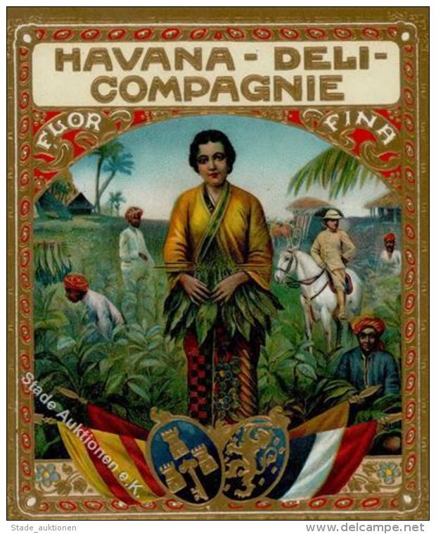 Tabak / Rauchen Zigarrenkisten Etiketten Ca. 10,4 X 12,4 Cm Havana Deli Compagnie Um 1900 Golddruck Litho Gepr&auml;gt I - Ohne Zuordnung